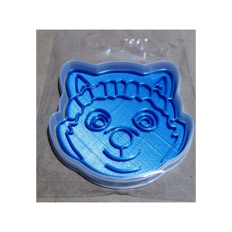 Cara Everest paw patrol